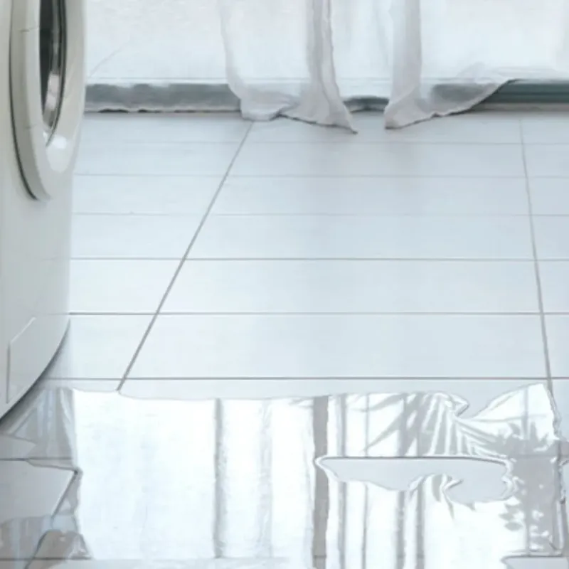 Appliance Leak Cleanup in Nooksack, WA