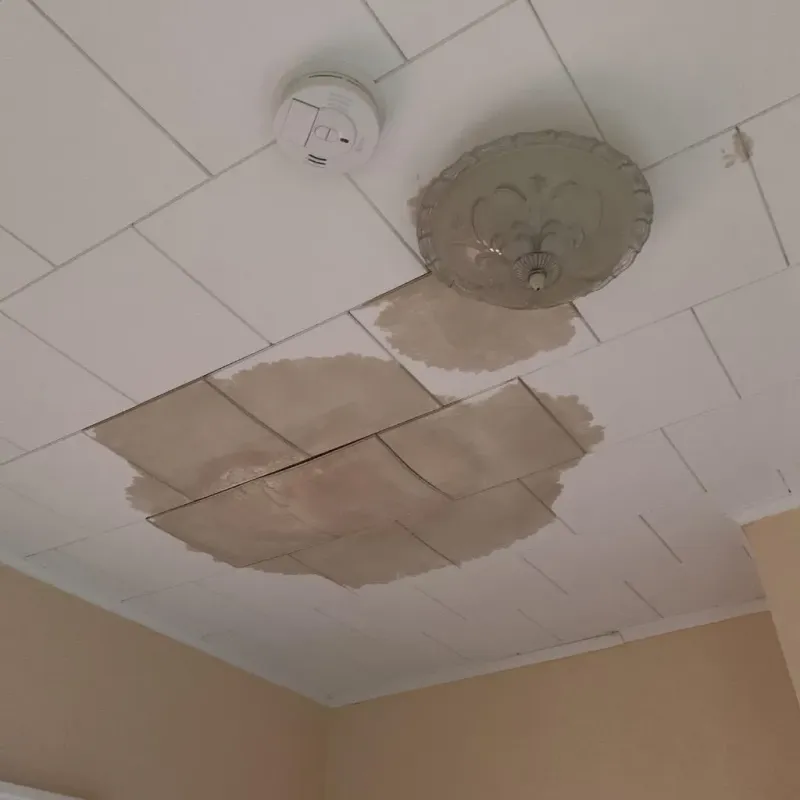 Ceiling Water Damage Repair in Nooksack, WA