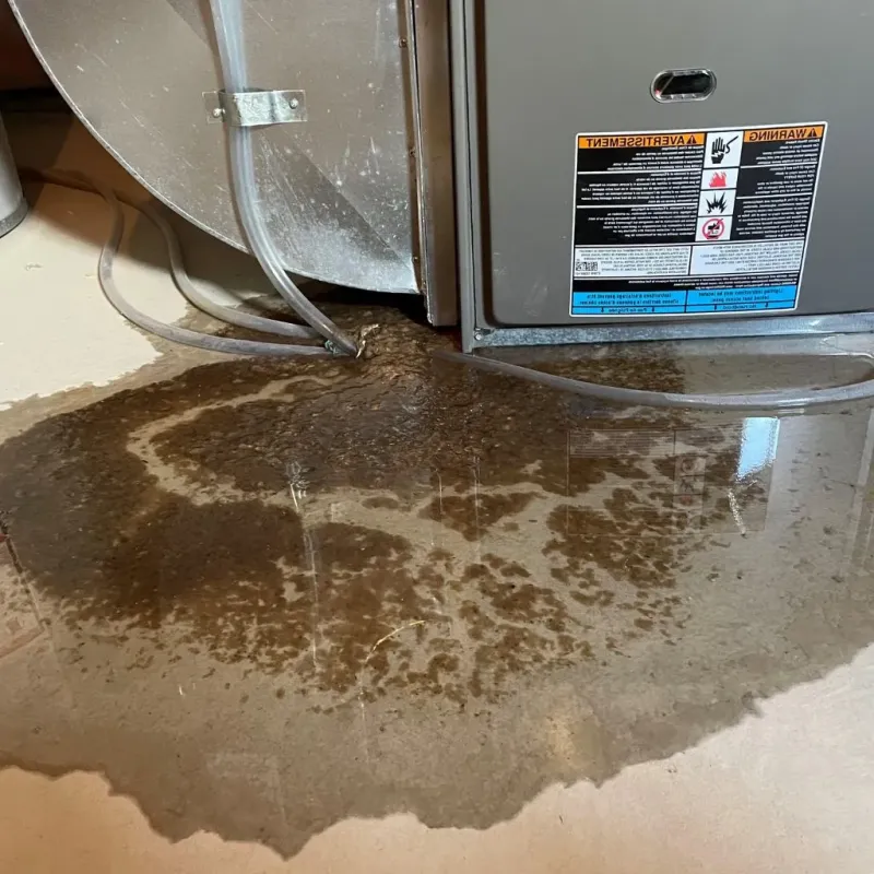 Pipe Burst and Leak Restoration in Nooksack, WA